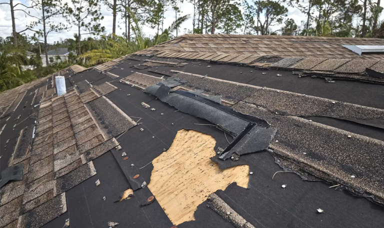 A black shingled roof that experienced storm damage in a tropical setting.